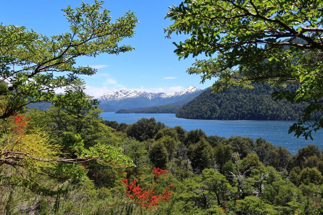 Hermoso Eco Lodge San Martín de los Andes المظهر الخارجي الصورة